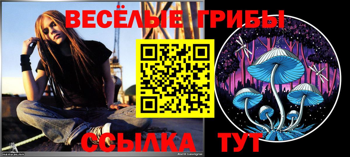 где найти   Вход с VPN  Москва  Псилоцибиновые грибы мухоморы  Псилоцибиновые грибы Psilocybe 